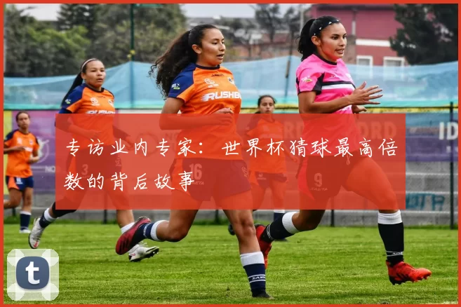 专访业内专家:世界杯猜球最高倍数的背后故事