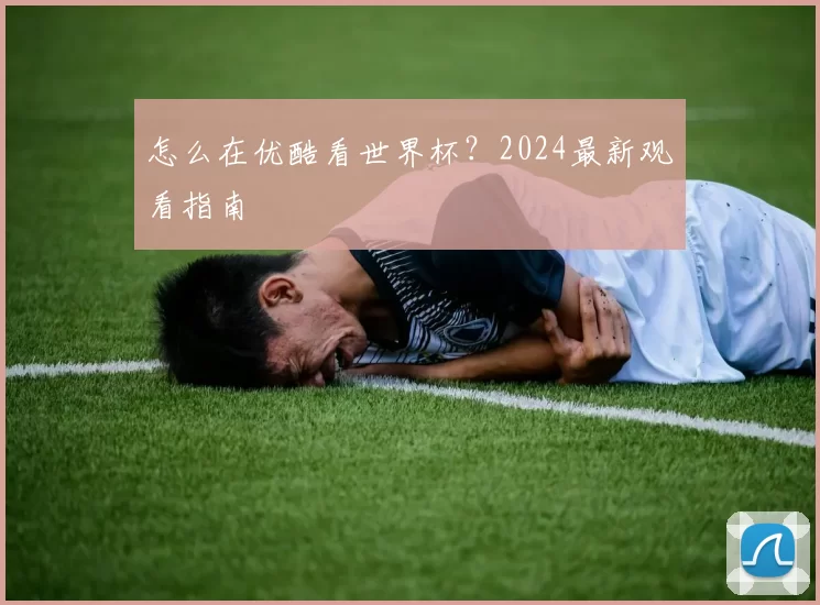 怎么在优酷看世界杯?2024最新观看指南