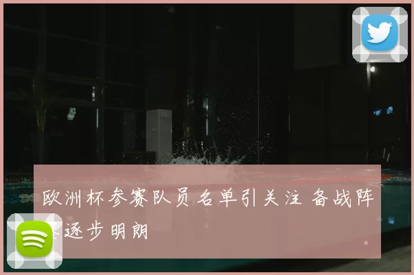 欧洲杯参赛队员名单引关注 备战阵容逐步明朗