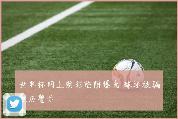 世界杯网上购彩陷阱曝光 球迷被骗经历警示
