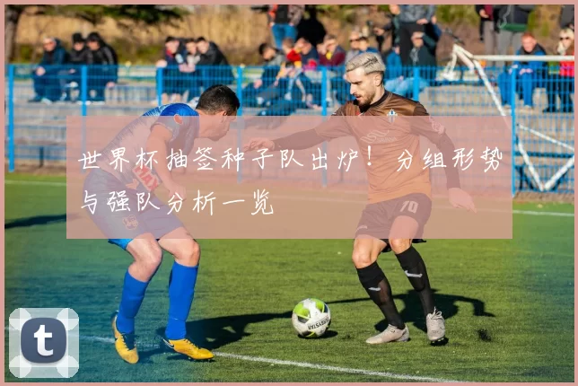 世界杯抽签种子队出炉!分组形势与强队分析一览