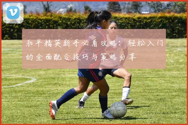 和平精英新手必看攻略:轻松入门的全面配合技巧与策略分享