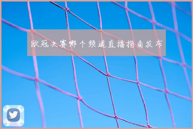 欧冠决赛哪个频道直播指南发布