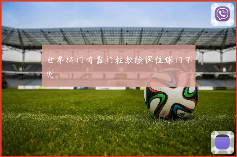 世界杯门将靠门柱救险保住球门不失