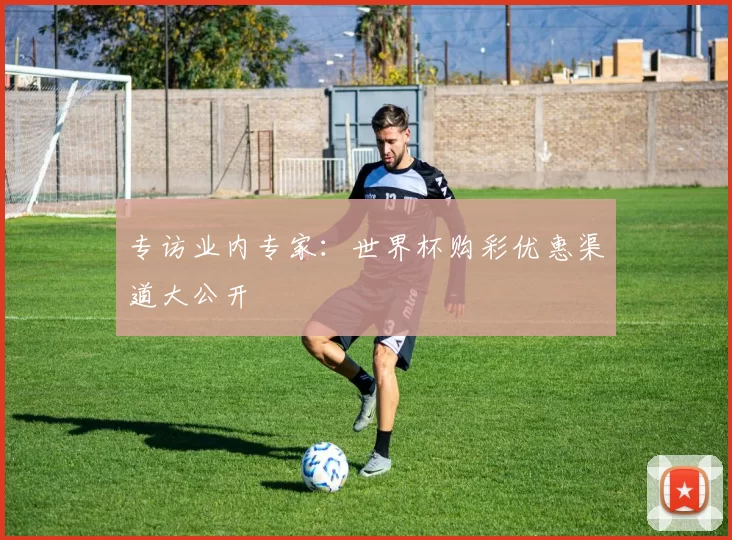 专访业内专家:世界杯购彩优惠渠道大公开