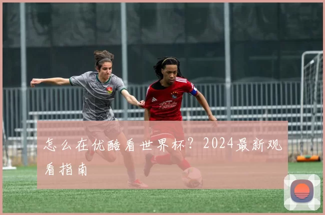 怎么在优酷看世界杯?2024最新观看指南