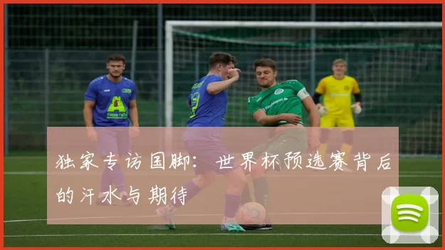 独家专访国脚：世界杯预选赛背后的汗水与期待