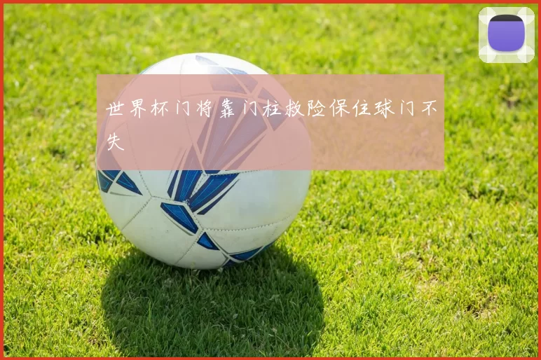 世界杯门将靠门柱救险保住球门不失